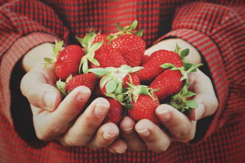 las fresas un alimento para el cerebro