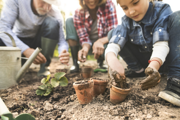 crea un huerto casero y aprendan de la naturaleza