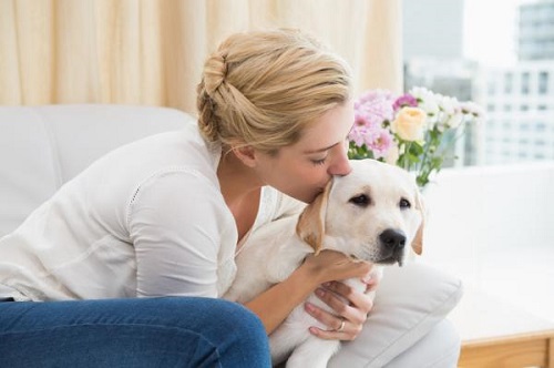 un perro reduce tu nivel de ansiedad