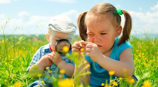 curso sobre la naturaleza