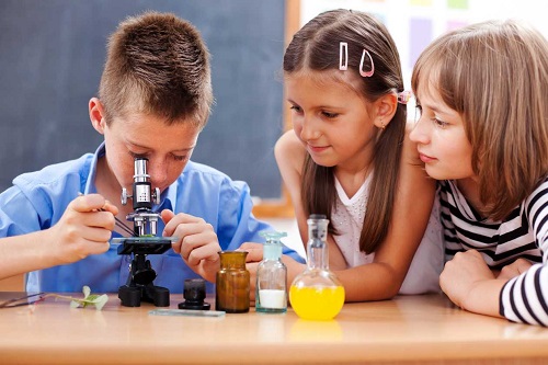 cursos de verano interesantes y divertidos