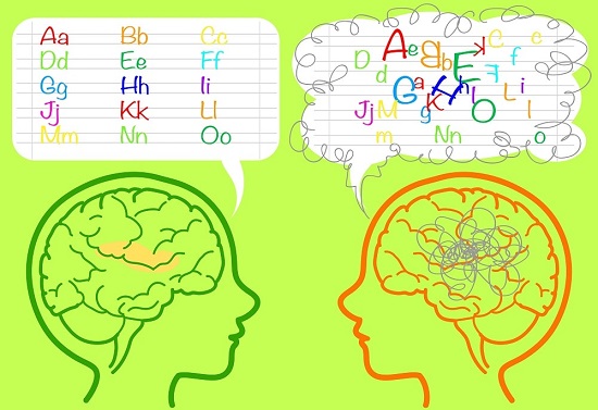 cmo es el cerebro de un nio con dislexia