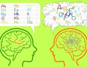 las alteraciones en el cerebro de un nio con dislexia