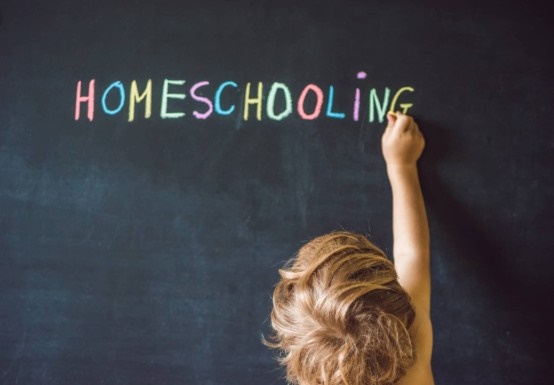 homeschool o educacin en casa