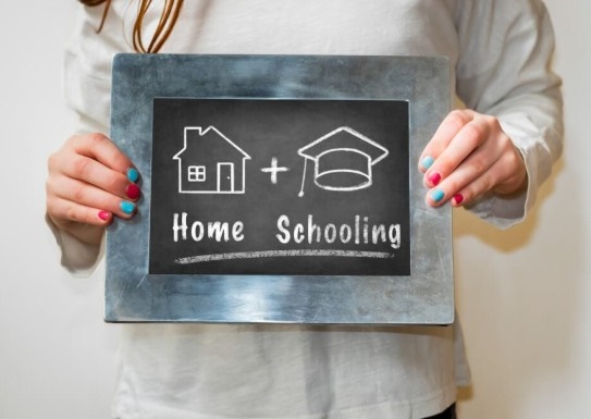 homeschool, ¿legal en méxico? homeschool, ¿legal en méxico?