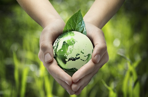 cuida el medio ambiente desde casa