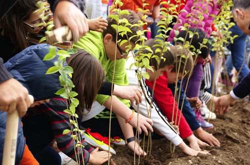 Como cuidar el medio ambiente desde tu escuela