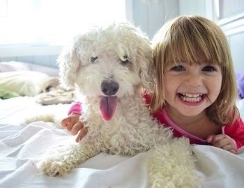 beneficios de una mascota para los nios