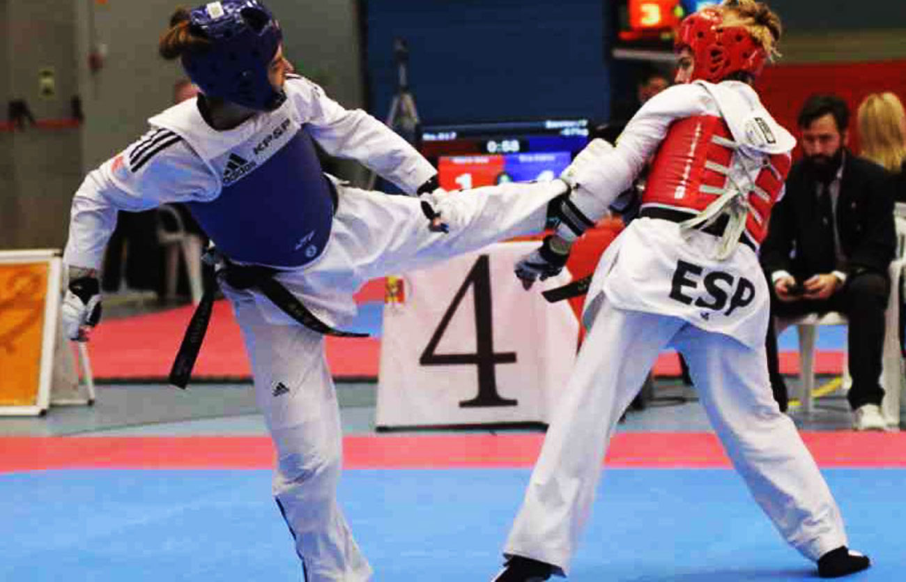 tcnicas del taekwondo