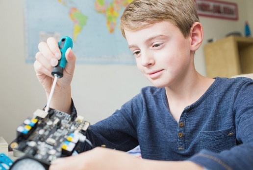 se alimenta la inteligencia y creatividad